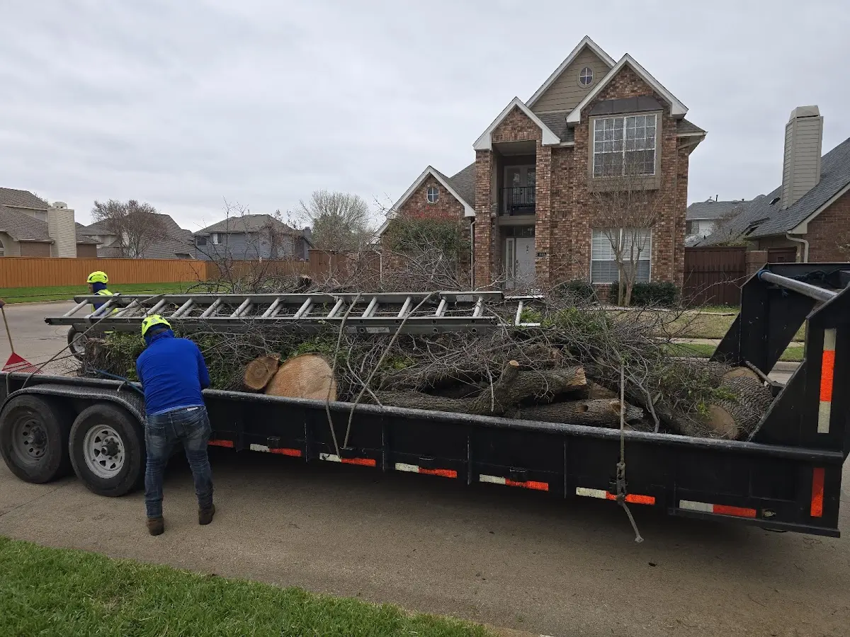Expert Tree Fertilization with proper safety equipment in Catawba